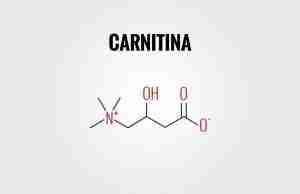 carnitina per dimagrire 1